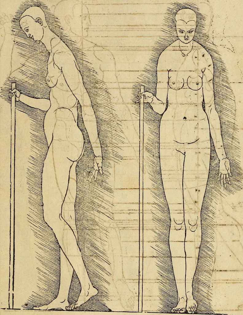 An illustration from Hierinn sind begriffen vier Bucher von menschlicher Proportion durch Albrechten Durer von Nurerberg [sic.] erfunden und beschuben zu nutz allen denen so zu diser kunst lieb tragen, 1528, leaf 220