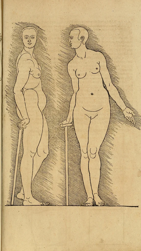 An illustration from Hierinn sind begriffen vier Bucher von menschlicher Proportion durch Albrechten Durer von Nurerberg [sic.] erfunden und beschuben zu nutz allen denen so zu diser kunst lieb tragen, 1528, leaf 222