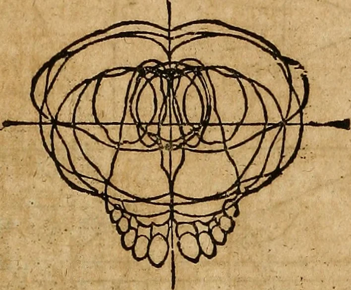 An illustration from Hierinn sind begriffen vier Bucher von menschlicher Proportion durch Albrechten Durer von Nurerberg [sic.] erfunden und beschuben zu nutz allen denen so zu diser kunst lieb tragen, 1528, leaf 228