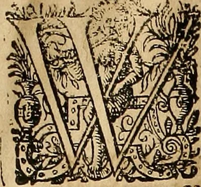 An illustration from Hierinn sind begriffen vier Bucher von menschlicher Proportion durch Albrechten Durer von Nurerberg [sic.] erfunden und beschuben zu nutz allen denen so zu diser kunst lieb tragen, 1528, leaf 238
