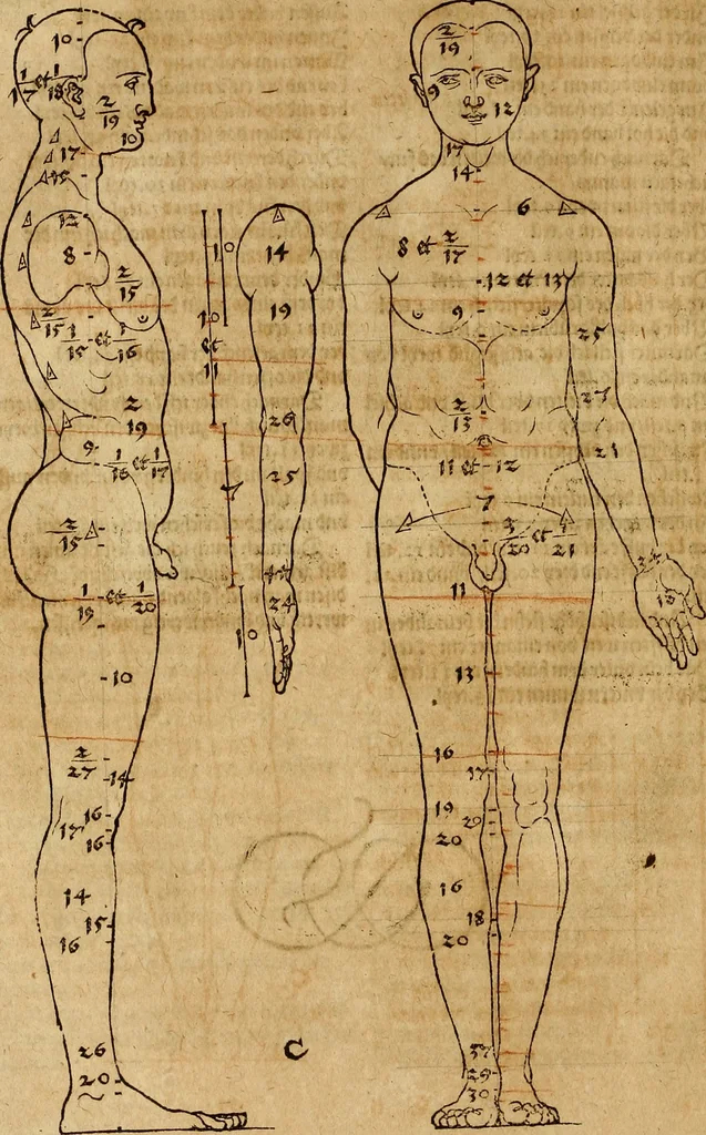 An illustration from Hierinn sind begriffen vier Bucher von menschlicher Proportion durch Albrechten Durer von Nurerberg [sic.] erfunden und beschuben zu nutz allen denen so zu diser kunst lieb tragen, 1528, leaf 25