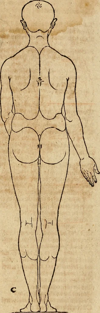 An illustration from Hierinn sind begriffen vier Bucher von menschlicher Proportion durch Albrechten Durer von Nurerberg [sic.] erfunden und beschuben zu nutz allen denen so zu diser kunst lieb tragen, 1528, leaf 26