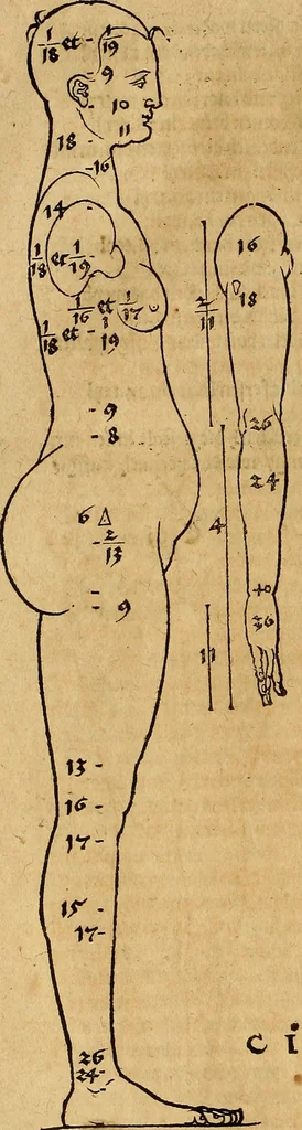 An illustration from Hierinn sind begriffen vier Bucher von menschlicher Proportion durch Albrechten Durer von Nurerberg [sic.] erfunden und beschuben zu nutz allen denen so zu diser kunst lieb tragen, 1528, leaf 29