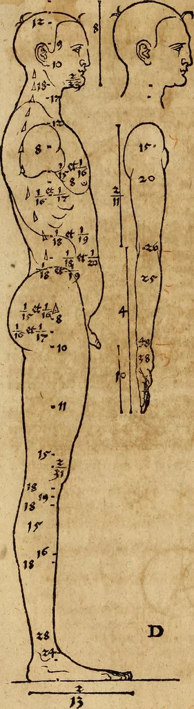 An illustration from Hierinn sind begriffen vier Bucher von menschlicher Proportion durch Albrechten Durer von Nurerberg [sic.] erfunden und beschuben zu nutz allen denen so zu diser kunst lieb tragen, 1528, leaf 33