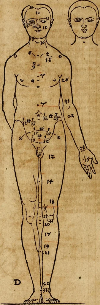An illustration from Hierinn sind begriffen vier Bucher von menschlicher Proportion durch Albrechten Durer von Nurerberg [sic.] erfunden und beschuben zu nutz allen denen so zu diser kunst lieb tragen, 1528, leaf 33