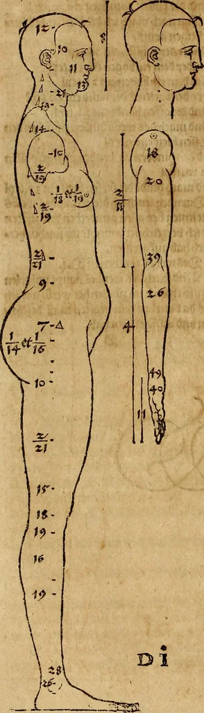 An illustration from Hierinn sind begriffen vier Bucher von menschlicher Proportion durch Albrechten Durer von Nurerberg [sic.] erfunden und beschuben zu nutz allen denen so zu diser kunst lieb tragen, 1528, leaf 37