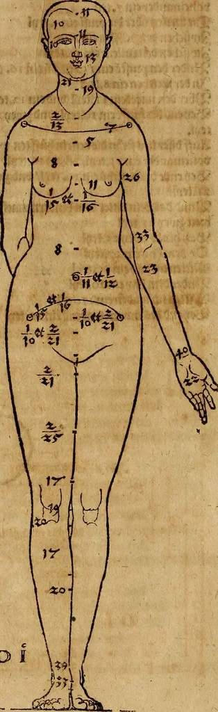 An illustration from Hierinn sind begriffen vier Bucher von menschlicher Proportion durch Albrechten Durer von Nurerberg [sic.] erfunden und beschuben zu nutz allen denen so zu diser kunst lieb tragen, 1528, leaf 37