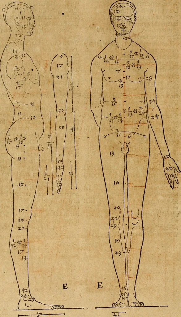 An illustration from Hierinn sind begriffen vier Bucher von menschlicher Proportion durch Albrechten Durer von Nurerberg [sic.] erfunden und beschuben zu nutz allen denen so zu diser kunst lieb tragen, 1528, leaf 41