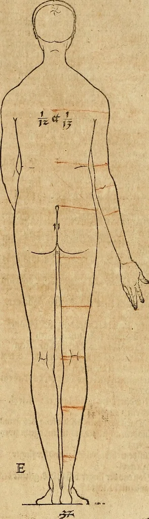 An illustration from Hierinn sind begriffen vier Bucher von menschlicher Proportion durch Albrechten Durer von Nurerberg [sic.] erfunden und beschuben zu nutz allen denen so zu diser kunst lieb tragen, 1528, leaf 42