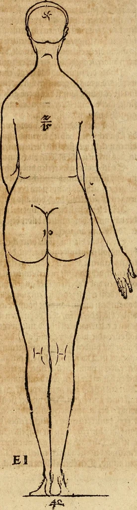 An illustration from Hierinn sind begriffen vier Bucher von menschlicher Proportion durch Albrechten Durer von Nurerberg [sic.] erfunden und beschuben zu nutz allen denen so zu diser kunst lieb tragen, 1528, leaf 46
