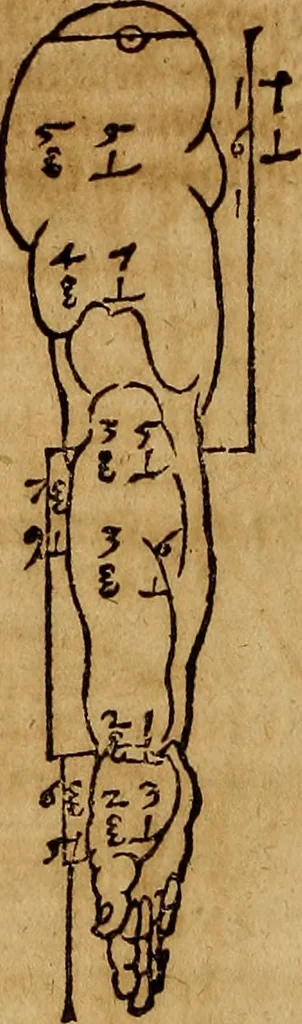 An illustration from Hierinn sind begriffen vier Bucher von menschlicher Proportion durch Albrechten Durer von Nurerberg [sic.] erfunden und beschuben zu nutz allen denen so zu diser kunst lieb tragen, 1528, leaf 67