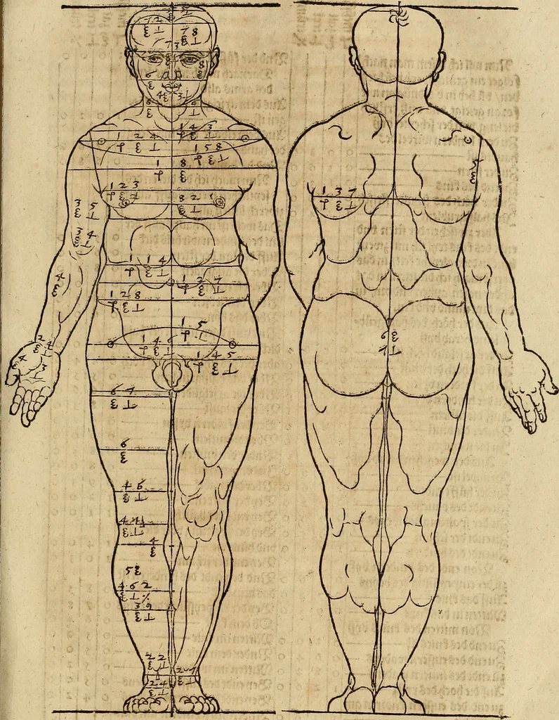 An illustration from Hierinn sind begriffen vier Bucher von menschlicher Proportion durch Albrechten Durer von Nurerberg [sic.] erfunden und beschuben zu nutz allen denen so zu diser kunst lieb tragen, 1528, leaf 68