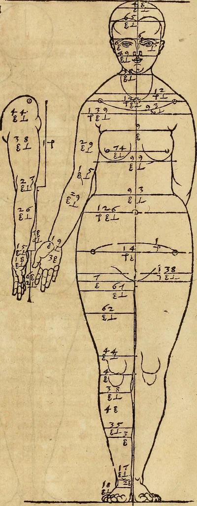 An illustration from Hierinn sind begriffen vier Bucher von menschlicher Proportion durch Albrechten Durer von Nurerberg [sic.] erfunden und beschuben zu nutz allen denen so zu diser kunst lieb tragen, 1528, leaf 72