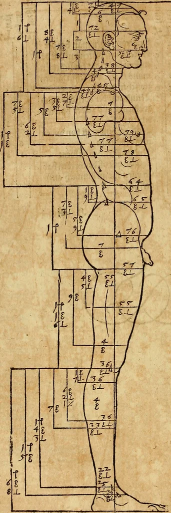 An illustration from Hierinn sind begriffen vier Bucher von menschlicher Proportion durch Albrechten Durer von Nurerberg [sic.] erfunden und beschuben zu nutz allen denen so zu diser kunst lieb tragen, 1528, leaf 77