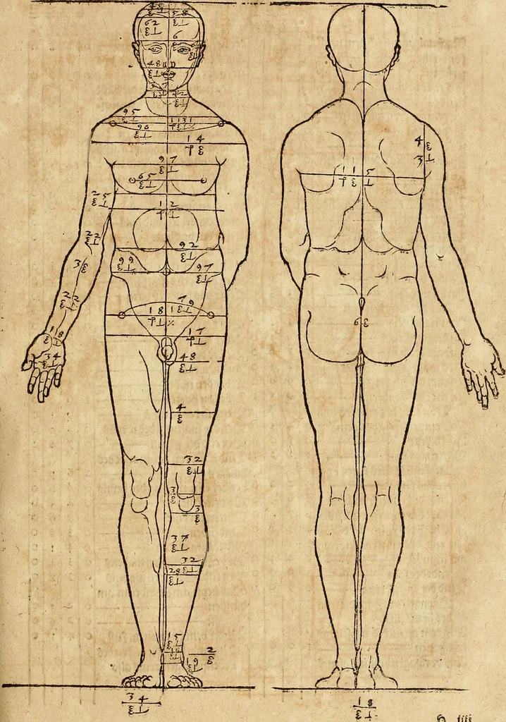 An illustration from Hierinn sind begriffen vier Bucher von menschlicher Proportion durch Albrechten Durer von Nurerberg [sic.] erfunden und beschuben zu nutz allen denen so zu diser kunst lieb tragen, 1528, leaf 78