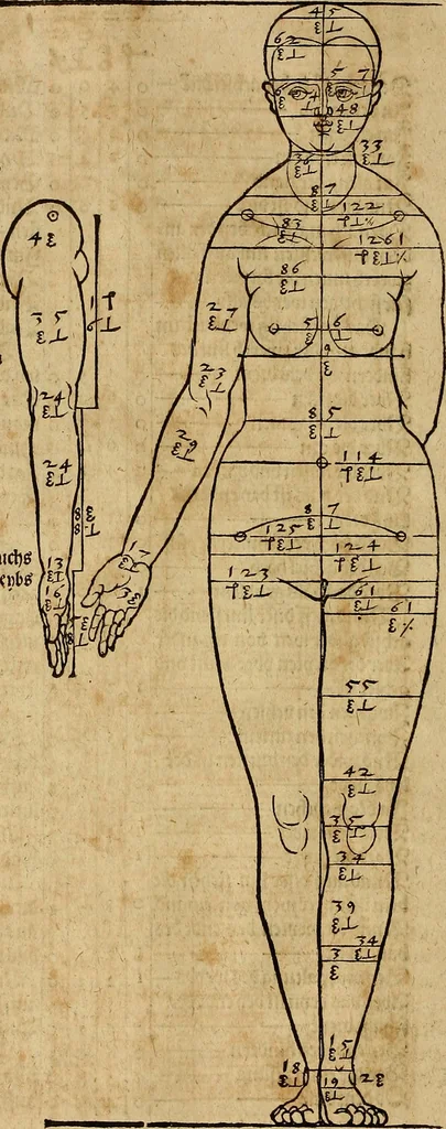 An illustration from Hierinn sind begriffen vier Bucher von menschlicher Proportion durch Albrechten Durer von Nurerberg [sic.] erfunden und beschuben zu nutz allen denen so zu diser kunst lieb tragen, 1528, leaf 81