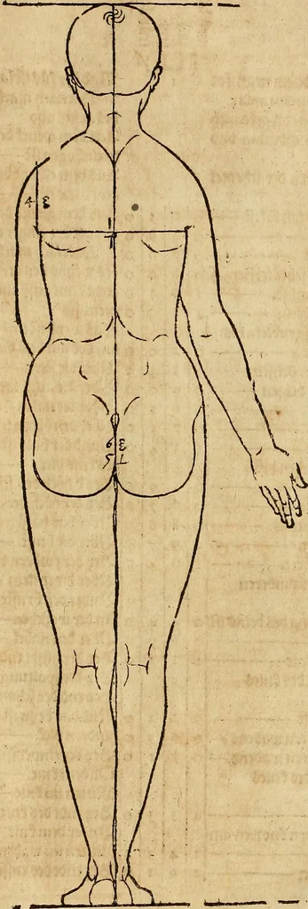 An illustration from Hierinn sind begriffen vier Bucher von menschlicher Proportion durch Albrechten Durer von Nurerberg [sic.] erfunden und beschuben zu nutz allen denen so zu diser kunst lieb tragen, 1528, leaf 82