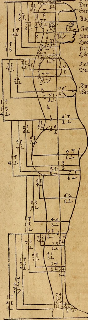 An illustration from Hierinn sind begriffen vier Bucher von menschlicher Proportion durch Albrechten Durer von Nurerberg [sic.] erfunden und beschuben zu nutz allen denen so zu diser kunst lieb tragen, 1528, leaf 85