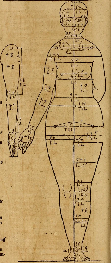 An illustration from Hierinn sind begriffen vier Bucher von menschlicher Proportion durch Albrechten Durer von Nurerberg [sic.] erfunden und beschuben zu nutz allen denen so zu diser kunst lieb tragen, 1528, leaf 85