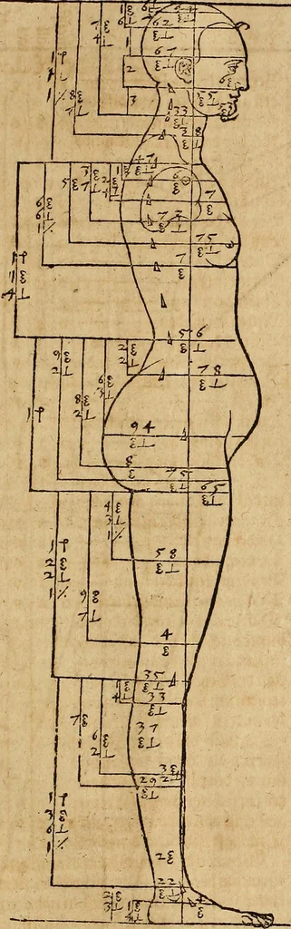An illustration from Hierinn sind begriffen vier Bucher von menschlicher Proportion durch Albrechten Durer von Nurerberg [sic.] erfunden und beschuben zu nutz allen denen so zu diser kunst lieb tragen, 1528, leaf 94