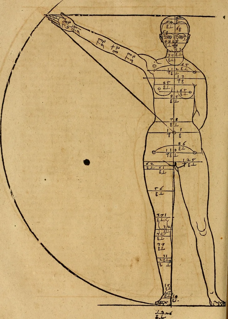 An illustration from Hierinn sind begriffen vier Bucher von menschlicher Proportion durch Albrechten Durer von Nurerberg [sic.] erfunden und beschuben zu nutz allen denen so zu diser kunst lieb tragen, 1528, leaf 95