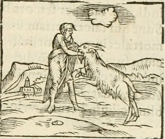 An illustration from Hieroglyphica, seu De sacris Aegyptiorum aliarumque gentium literis commentarii, 1594, leaf 106