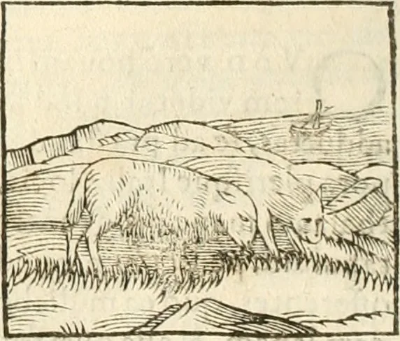 An illustration from Hieroglyphica, seu De sacris Aegyptiorum aliarumque gentium literis commentarii, 1594, leaf 113