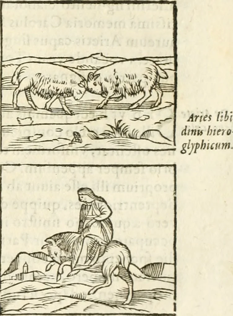 An illustration from Hieroglyphica, seu De sacris Aegyptiorum aliarumque gentium literis commentarii, 1594, leaf 114