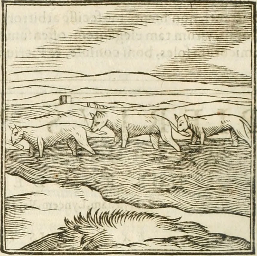 An illustration from Hieroglyphica, seu De sacris Aegyptiorum aliarumque gentium literis commentarii, 1594, leaf 117