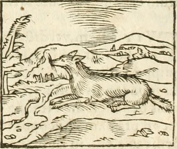 An illustration from Hieroglyphica, seu De sacris Aegyptiorum aliarumque gentium literis commentarii, 1594, leaf 117