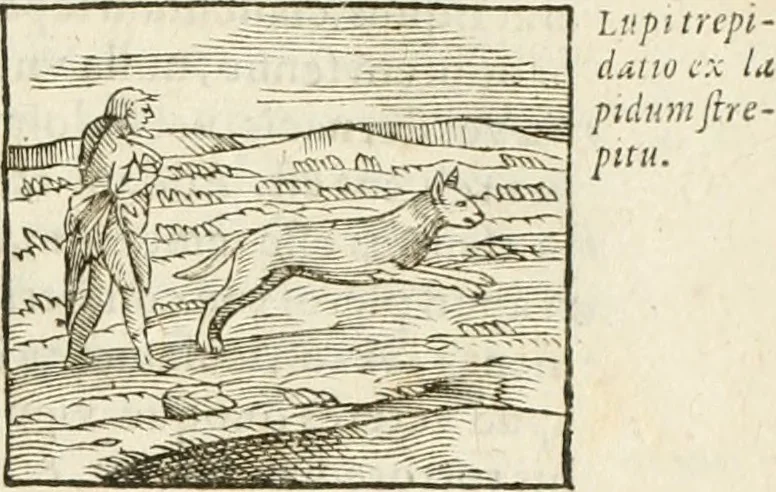 An illustration from Hieroglyphica, seu De sacris Aegyptiorum aliarumque gentium literis commentarii, 1594, leaf 118