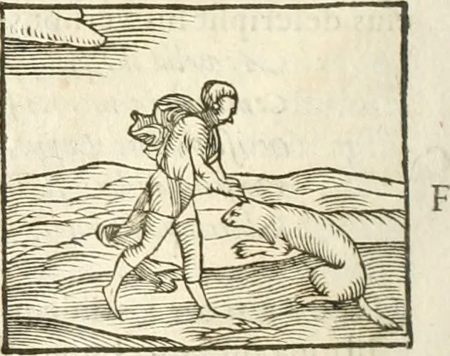 An illustration from Hieroglyphica, seu De sacris Aegyptiorum aliarumque gentium literis commentarii, 1594, leaf 119