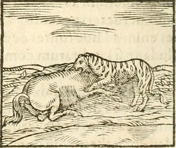An illustration from Hieroglyphica, seu De sacris Aegyptiorum aliarumque gentium literis commentarii, 1594, leaf 123