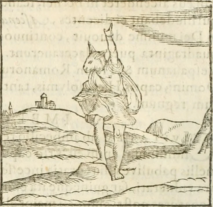 An illustration from Hieroglyphica, seu De sacris Aegyptiorum aliarumque gentium literis commentarii, 1594, leaf 127