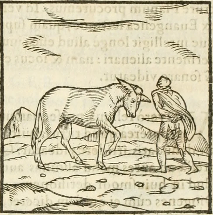 An illustration from Hieroglyphica, seu De sacris Aegyptiorum aliarumque gentium literis commentarii, 1594, leaf 128