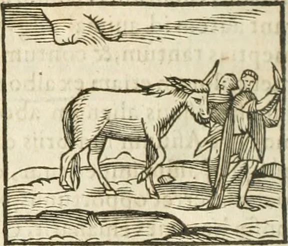 An illustration from Hieroglyphica, seu De sacris Aegyptiorum aliarumque gentium literis commentarii, 1594, leaf 129