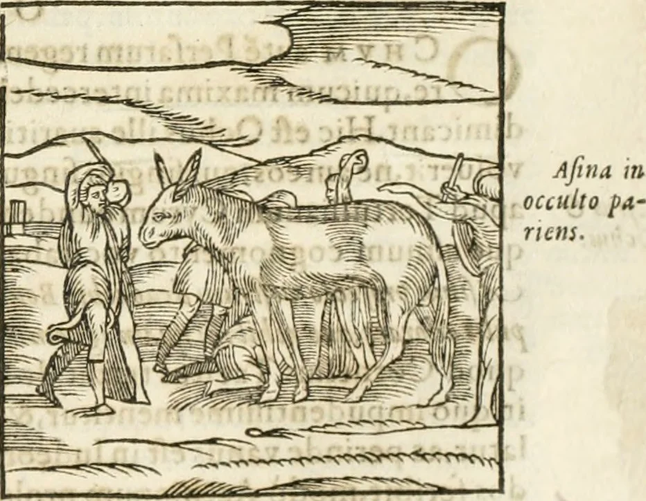 An illustration from Hieroglyphica, seu De sacris Aegyptiorum aliarumque gentium literis commentarii, 1594, leaf 130