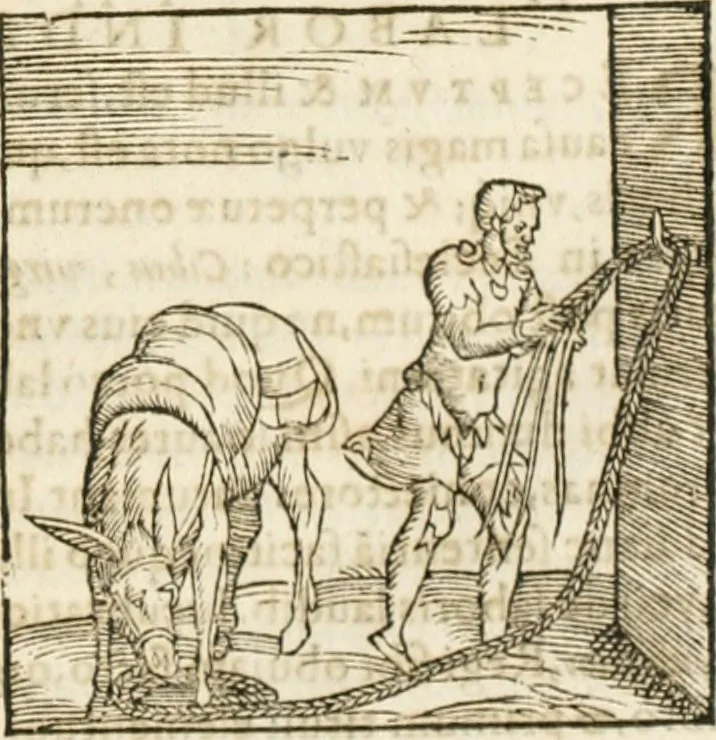 An illustration from Hieroglyphica, seu De sacris Aegyptiorum aliarumque gentium literis commentarii, 1594, leaf 130
