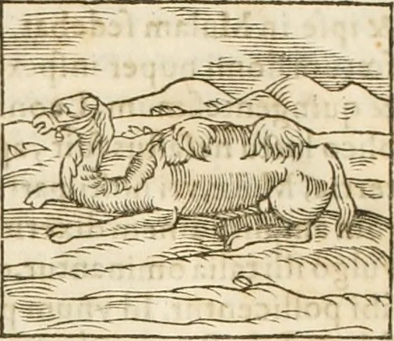 An illustration from Hieroglyphica, seu De sacris Aegyptiorum aliarumque gentium literis commentarii, 1594, leaf 135
