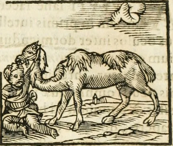 An illustration from Hieroglyphica, seu De sacris Aegyptiorum aliarumque gentium literis commentarii, 1594, leaf 136