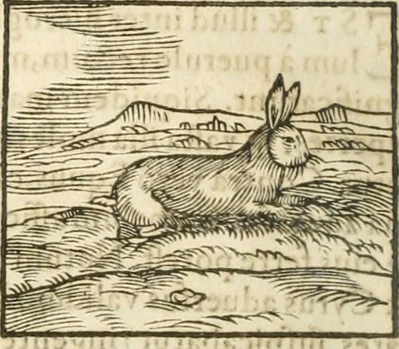 An illustration from Hieroglyphica, seu De sacris Aegyptiorum aliarumque gentium literis commentarii, 1594, leaf 137