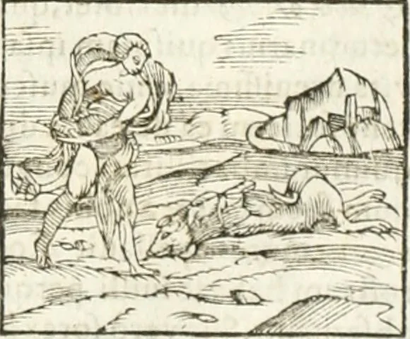 An illustration from Hieroglyphica, seu De sacris Aegyptiorum aliarumque gentium literis commentarii, 1594, leaf 142