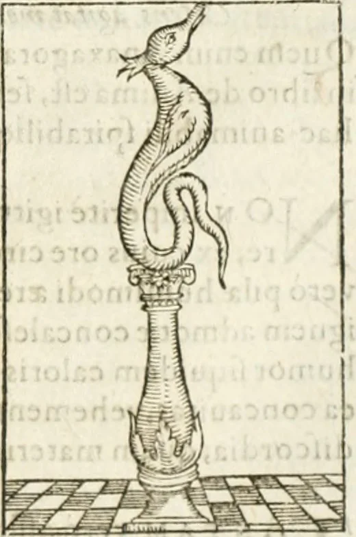 An illustration from Hieroglyphica, seu De sacris Aegyptiorum aliarumque gentium literis commentarii, 1594, leaf 150
