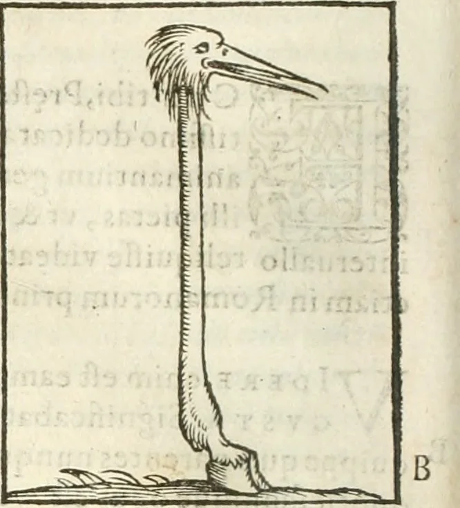 An illustration from Hieroglyphica, seu De sacris Aegyptiorum aliarumque gentium literis commentarii, 1594, leaf 177
