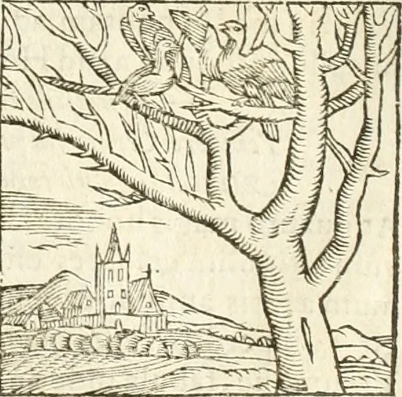 An illustration from Hieroglyphica, seu De sacris Aegyptiorum aliarumque gentium literis commentarii, 1594, leaf 177