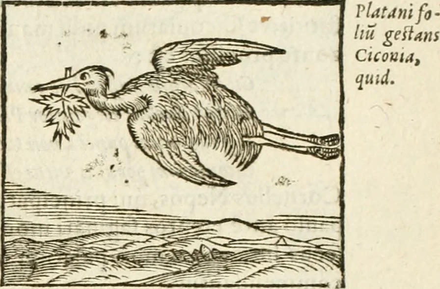 An illustration from Hieroglyphica, seu De sacris Aegyptiorum aliarumque gentium literis commentarii, 1594, leaf 178