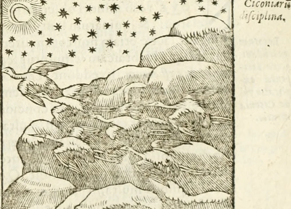 An illustration from Hieroglyphica, seu De sacris Aegyptiorum aliarumque gentium literis commentarii, 1594, leaf 178