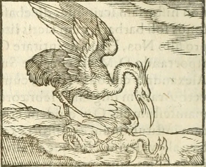 An illustration from Hieroglyphica, seu De sacris Aegyptiorum aliarumque gentium literis commentarii, 1594, leaf 181