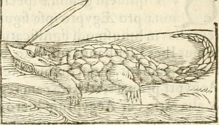 An illustration from Hieroglyphica, seu De sacris Aegyptiorum aliarumque gentium literis commentarii, 1594, leaf 181
