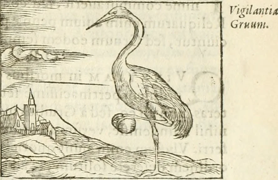 An illustration from Hieroglyphica, seu De sacris Aegyptiorum aliarumque gentium literis commentarii, 1594, leaf 182